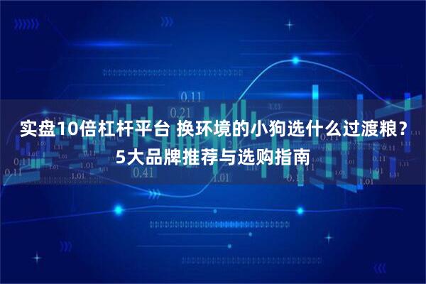 实盘10倍杠杆平台 换环境的小狗选什么过渡粮？5大品牌推荐与选购指南
